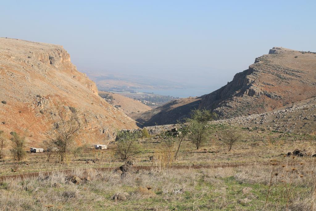 Switzerland In The Arbel Guest House Room photo