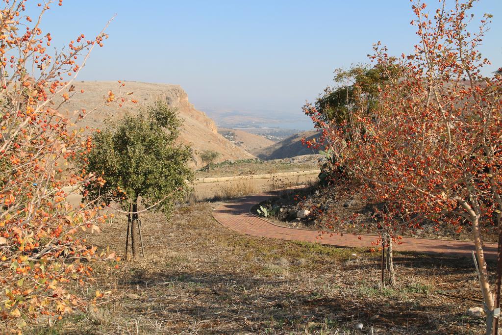 Switzerland In The Arbel Guest House Exterior photo